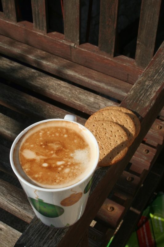 Cappuccino and Wholemeal Digestives